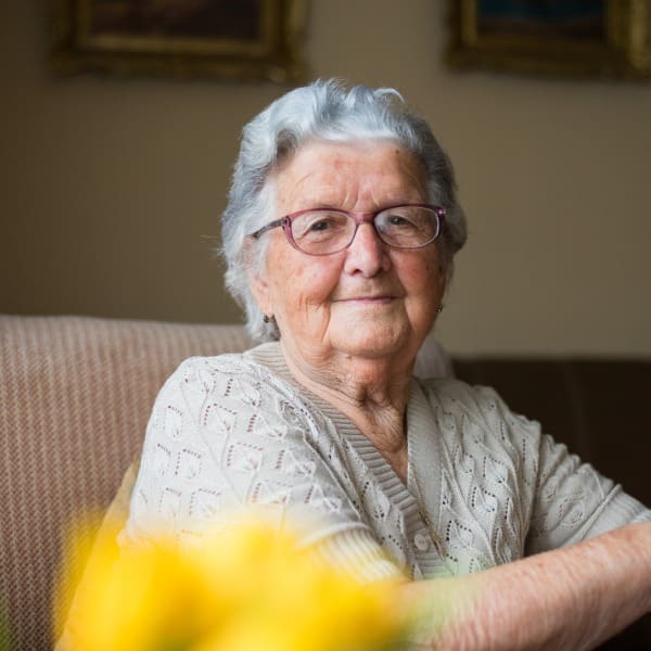 Festival online del Adulto Mayor 