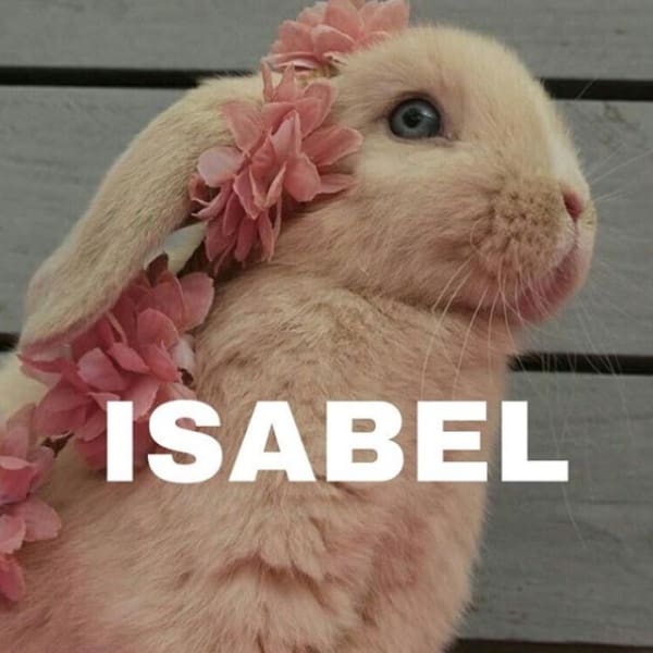 Nombre Pantone Instagram