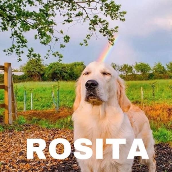 Nombre Pantone Instagram