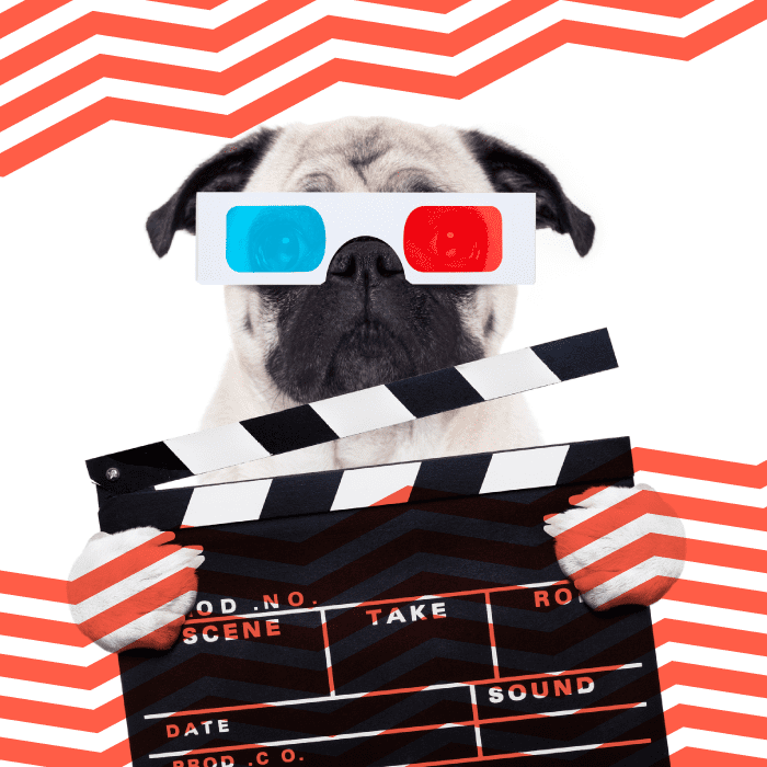 Día Mundial del Perro: nuestros lomitos peluditos en el cine. *Foto: Redacción