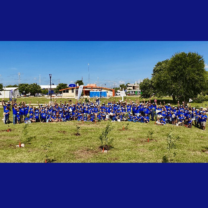 Huertos familiares en casa