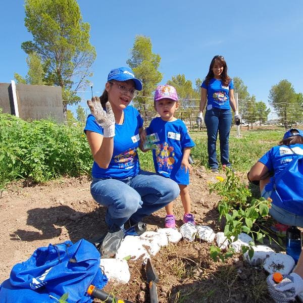 Huertos familiares en casa 