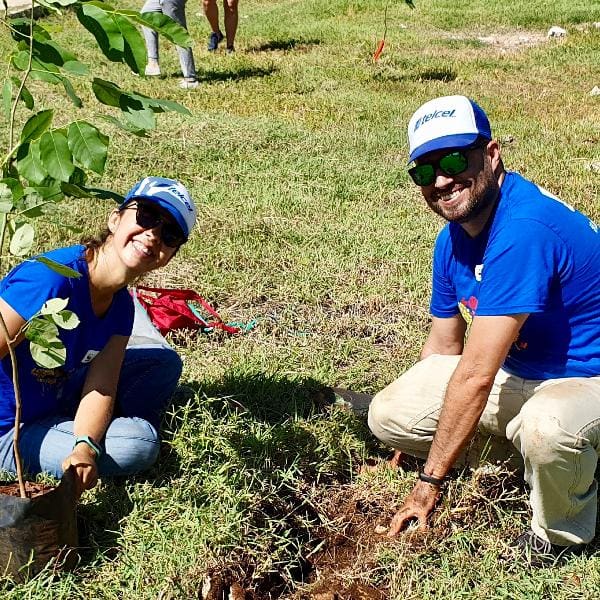 Huertos familiares en casa 