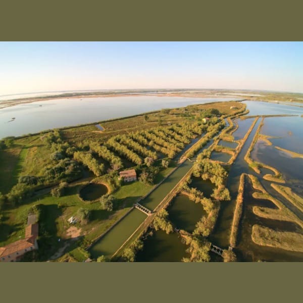 Falconera Airbnb ofrece rentar isla entera en Italia en la laguna de Venecia