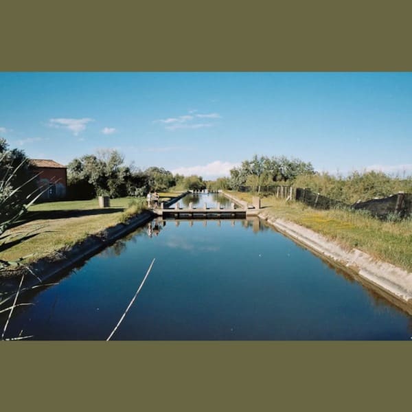 Falconera Airbnb ofrece rentar isla entera en Italia en la laguna de Venecia