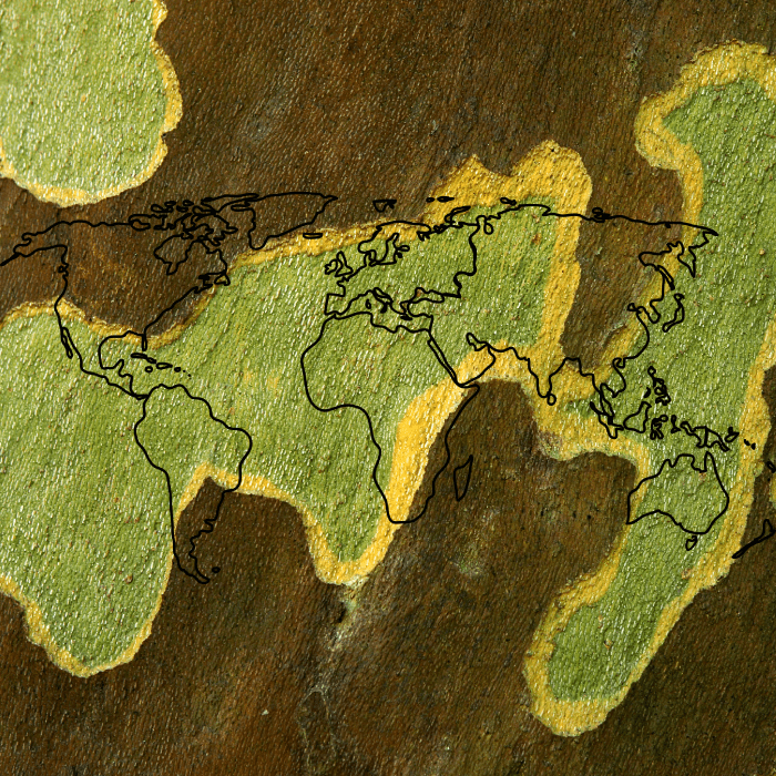 ancient-earth-mapa-muestra-tierra-con-pangea
