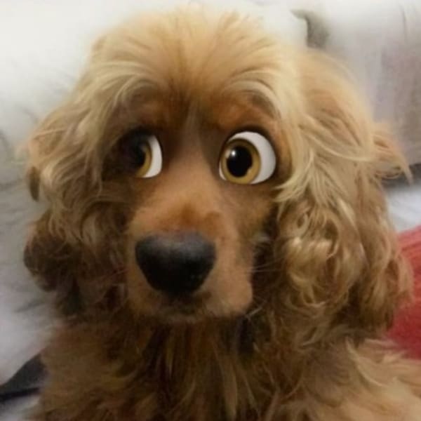 Cartoon face filtro Snapchat 