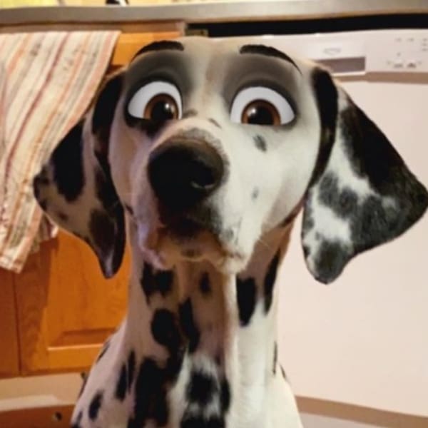 Cartoon face filtro Snapchat 