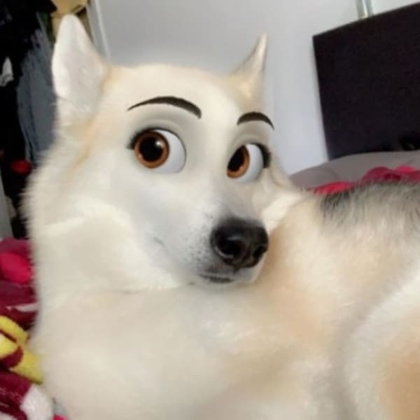 Cartoon face filtro Snapchat 