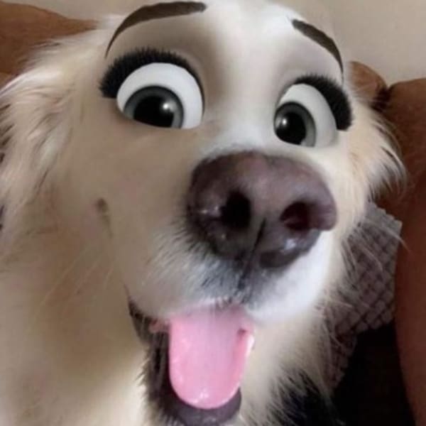 Cartoon face filtro Snapchat 