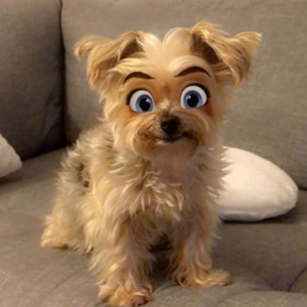 Cartoon face filtro Snapchat 