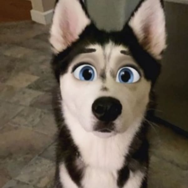 Cartoon face filtro Snapchat 