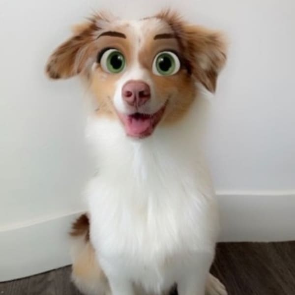 Cartoon face filtro Snapchat 