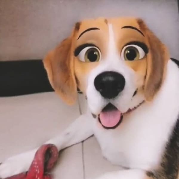 Cartoon face filtro Snapchat 