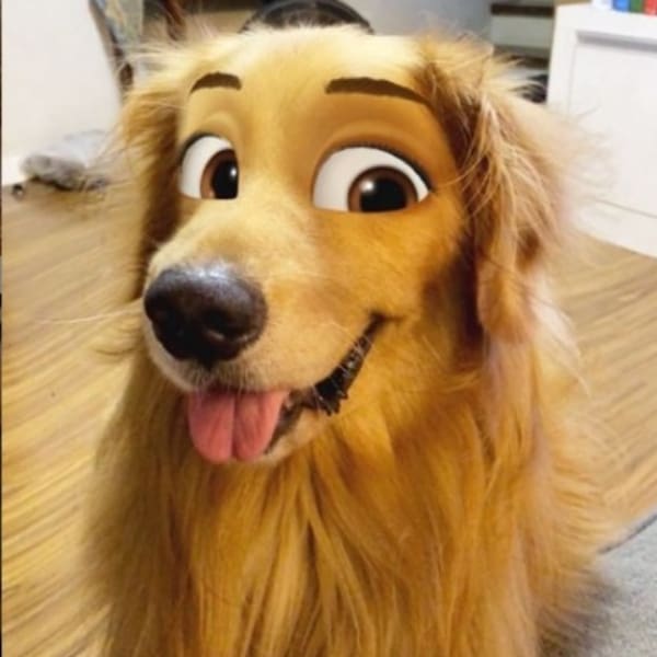 Cartoon face filtro Snapchat 