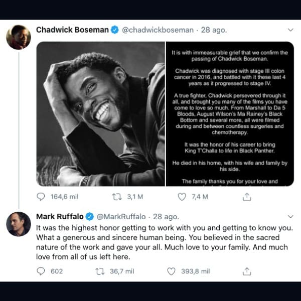 Despedida de Mark Ruffalo a Chadwick Boseman