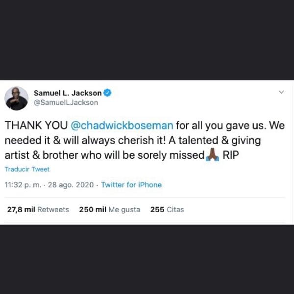 despedida de Los Avengers a Chadwick Boseman