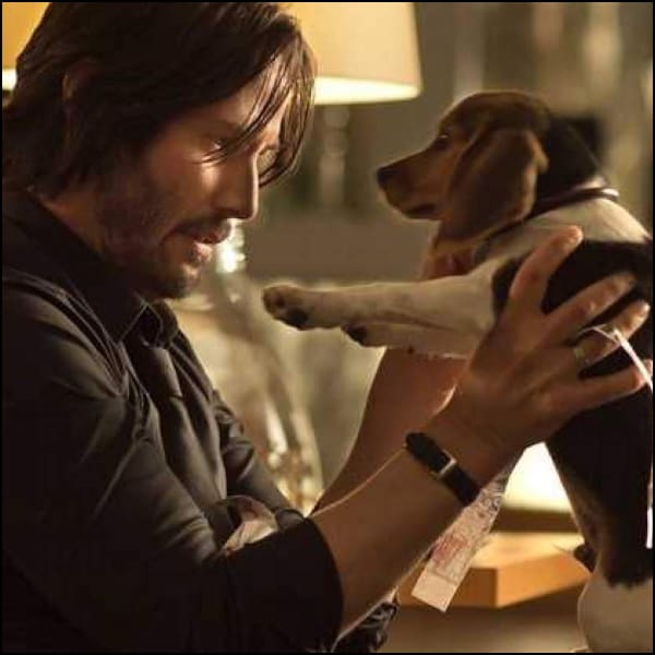 Quién ganaría en una pelea entre John Wick y Neo Keanu Reeves