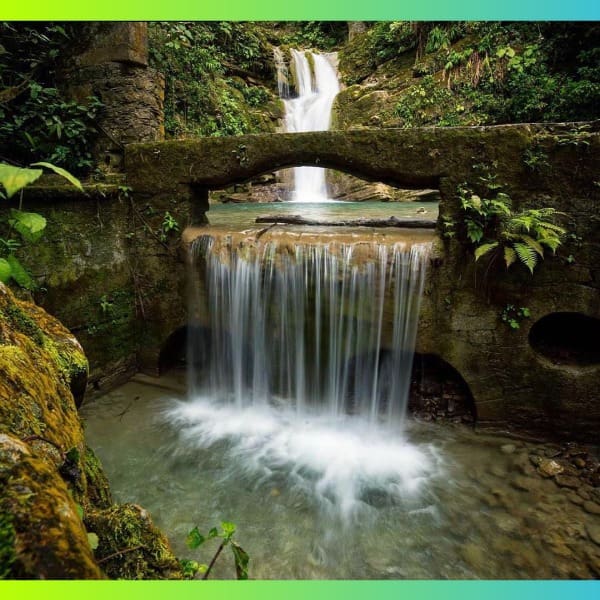 Jardín Edward James gana premio Traveller´s Choice 2020