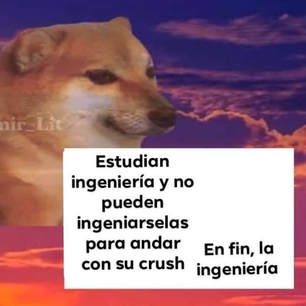 Cheems origen perrito memes