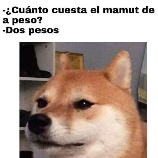 Cheems origen perrito memes