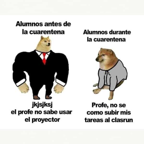 Cheems origen perrito memes