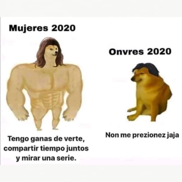 Cheems origen perrito memes