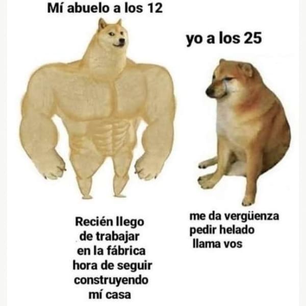 Cheems origen perrito memes