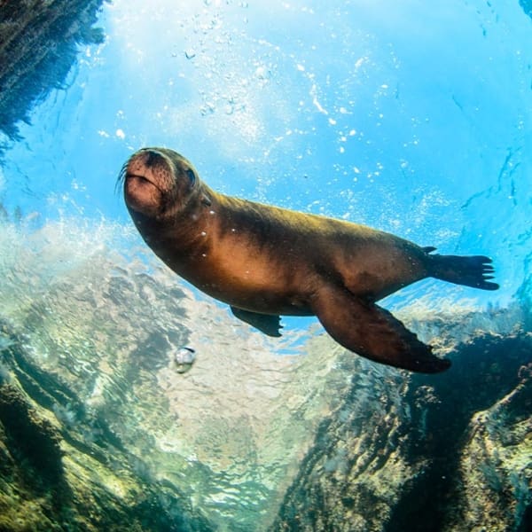 Destinos México viajes vacaciones 