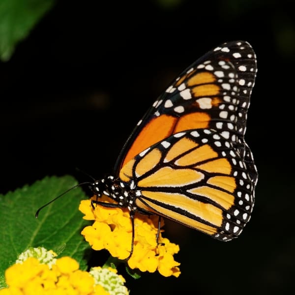 Destinos México viajes vacaciones 