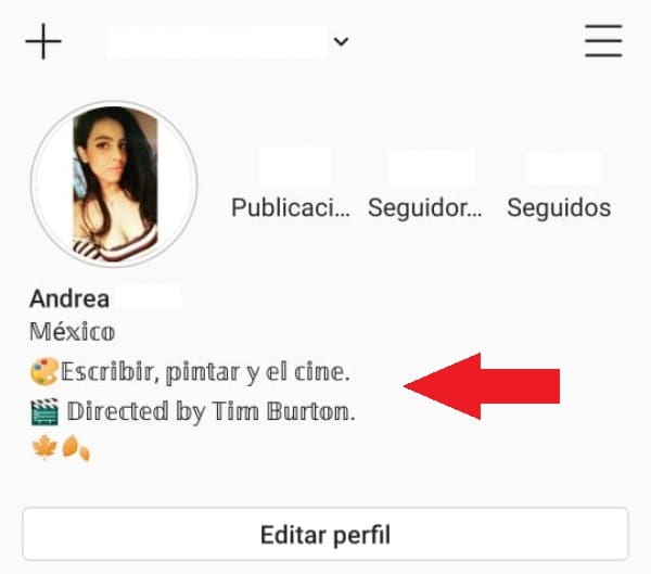 Instagram cambiar letra 