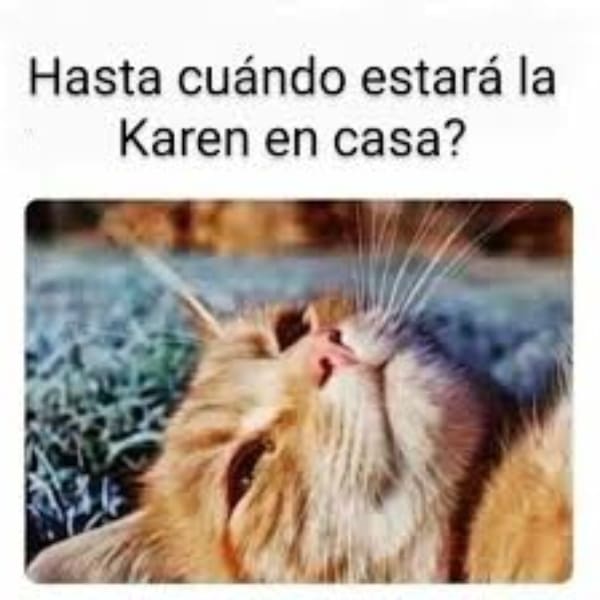 Karen historia dueña gatos memes