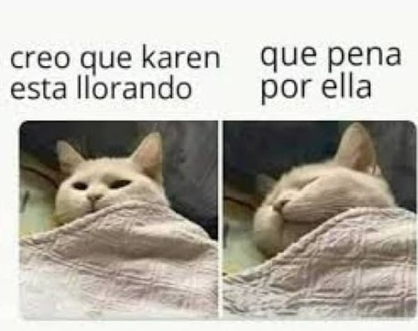 Karen historia dueña gatos memes