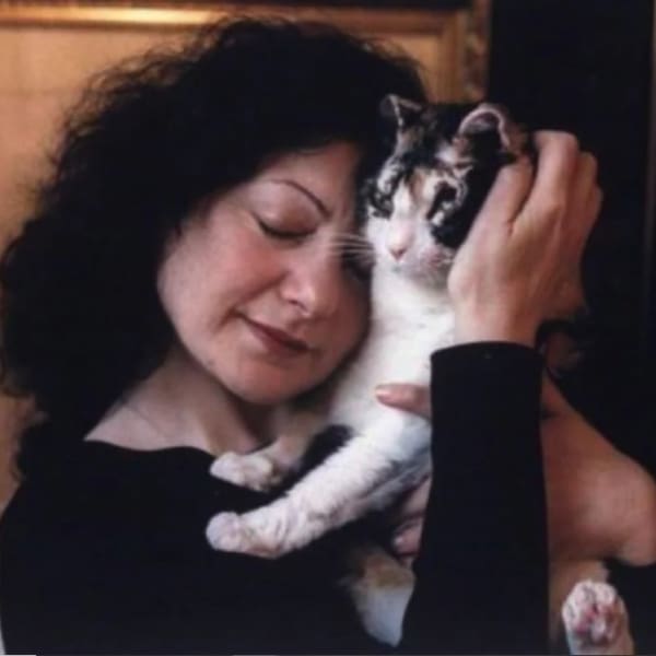 Karen historia dueña gatos memes