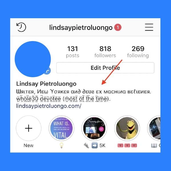 cómo cambiar la letra de tu biografía de Instagram