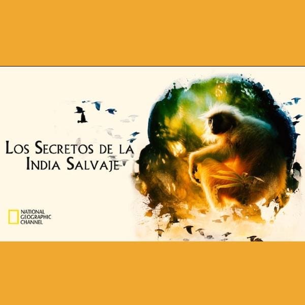 documentales-sobre-la-naturaleza-y-el-cambio-climatico