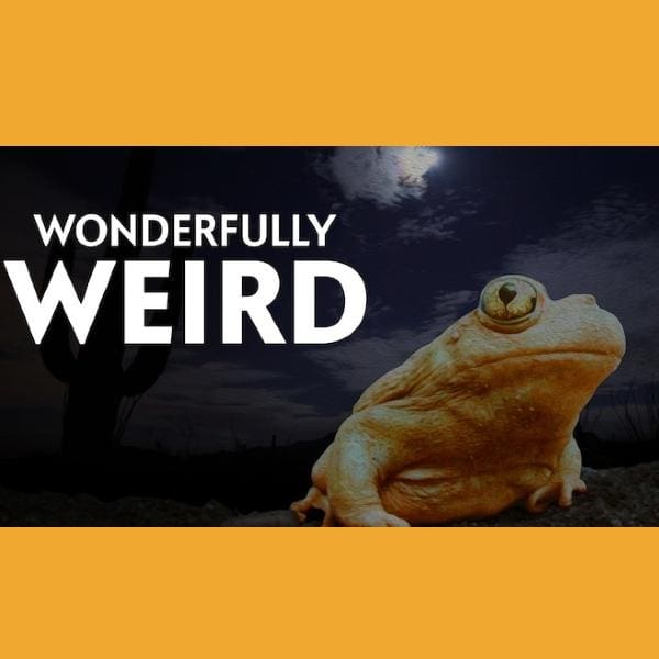 documentales sobre la naturaleza y el cambio climático