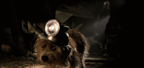 curiosidades de Volver al Futuro