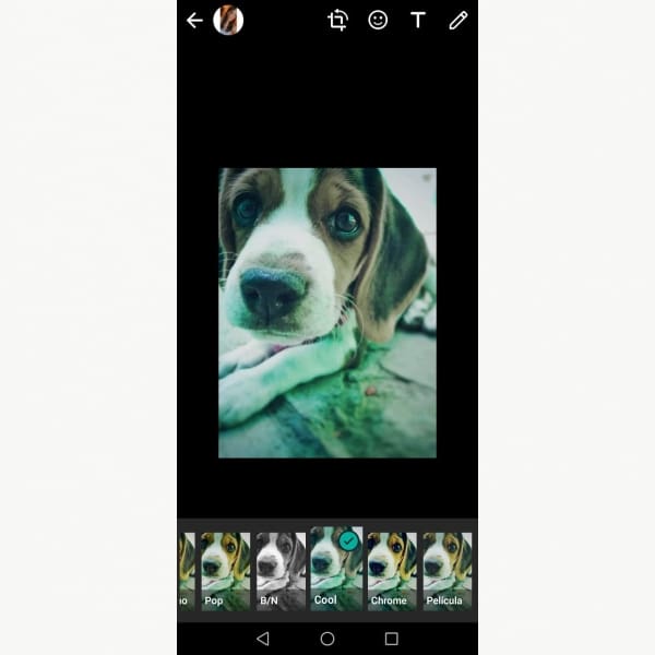 WhatsApp filtros estados trucos 