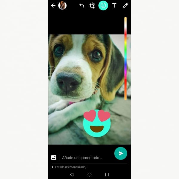 Cambia color emojis WhatsApp estados