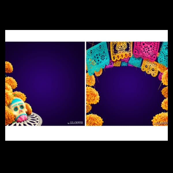 los marcos de fotos de facebook de lila downs de dia de muertos