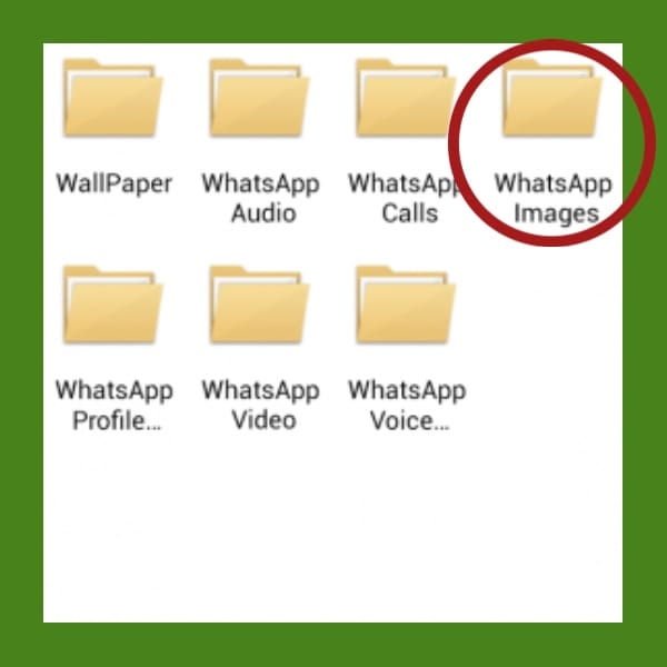 Como recuperar las fotos que borraste de tu WhatsApp