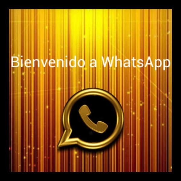 funciones del WhatsApp Gold