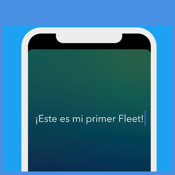 asi funcionan los fleets de twitter