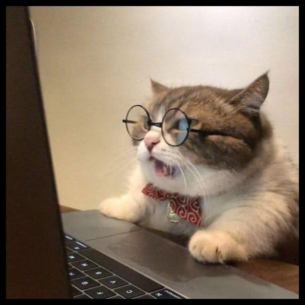 como saber quien ve tu perfil de instagram 