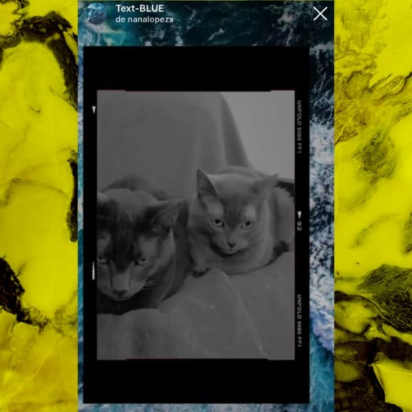 los mejores filtros de instagram 2020