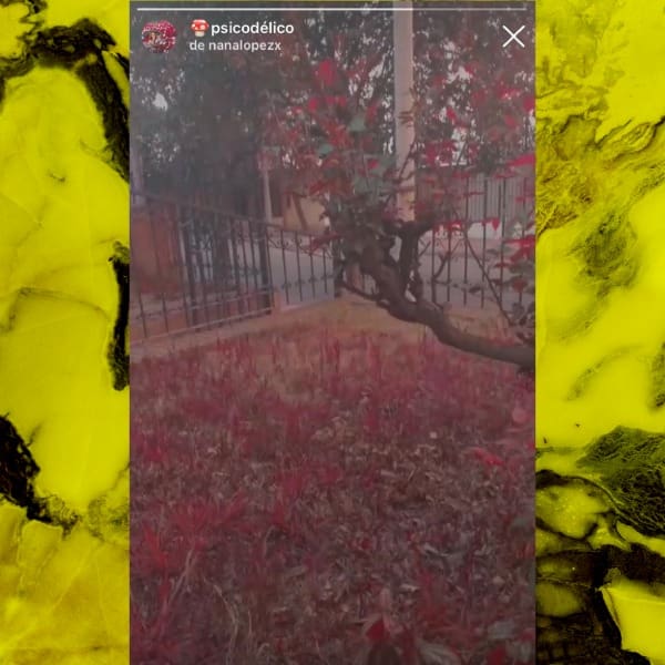 los mejores filtros de instagram 2020