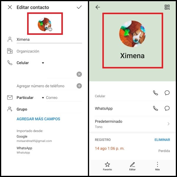 WhatsApp editar contacto 