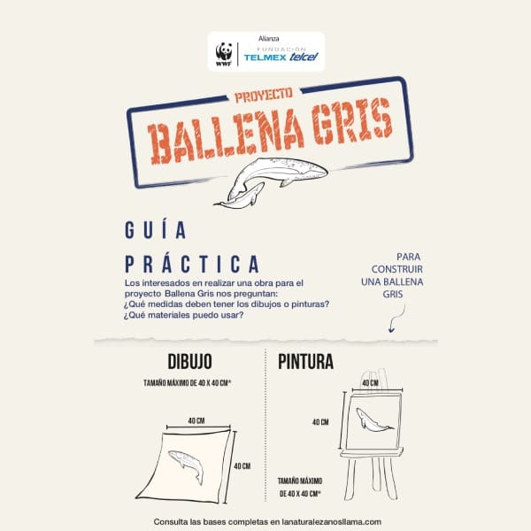 ballena gris