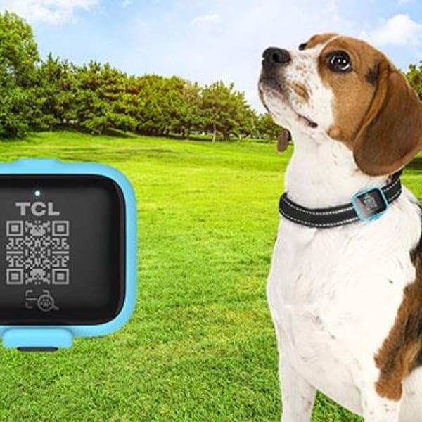 Rastreador de perritos tcl